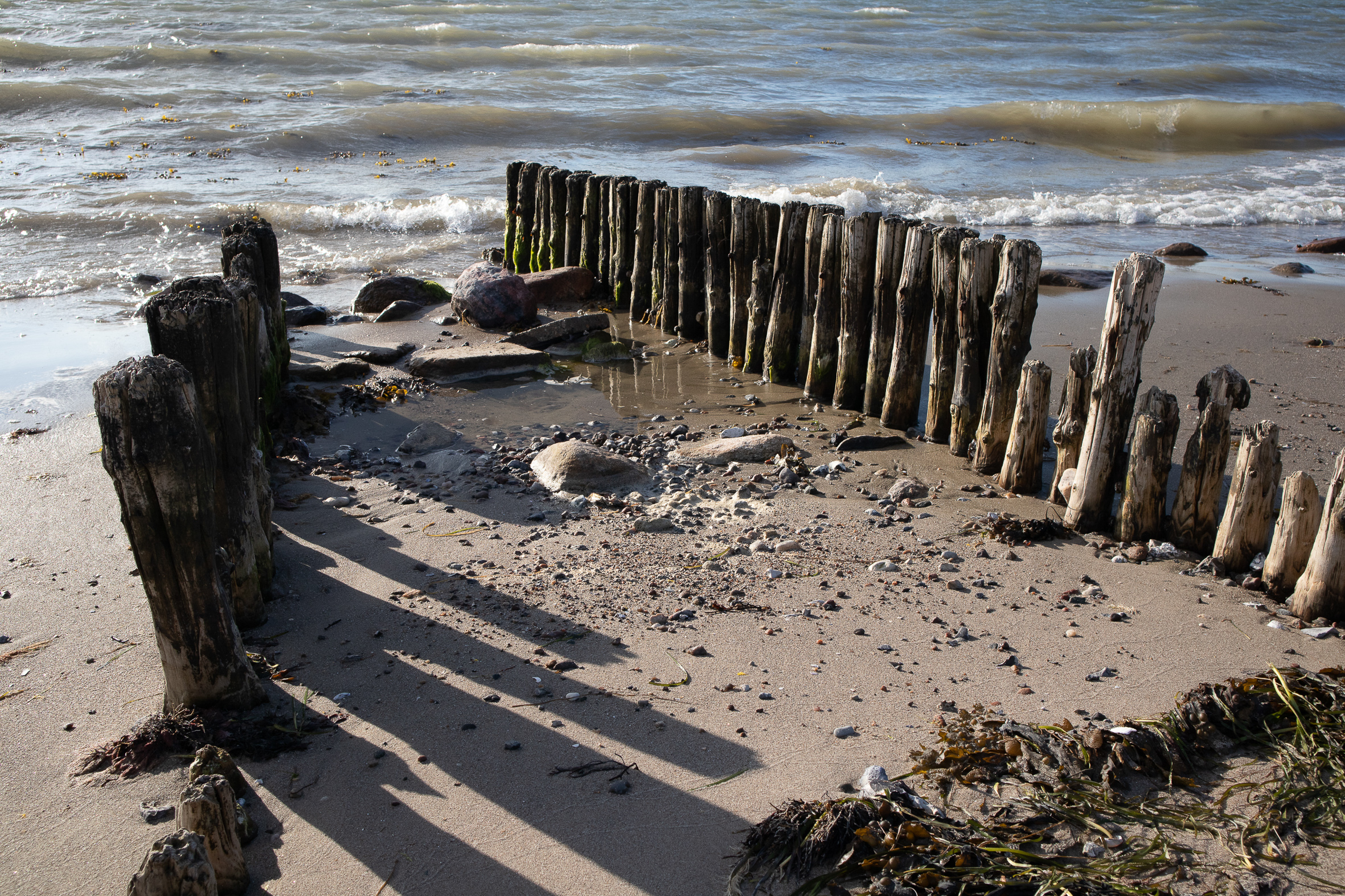 IMG_0957?timestamp=1680259217932