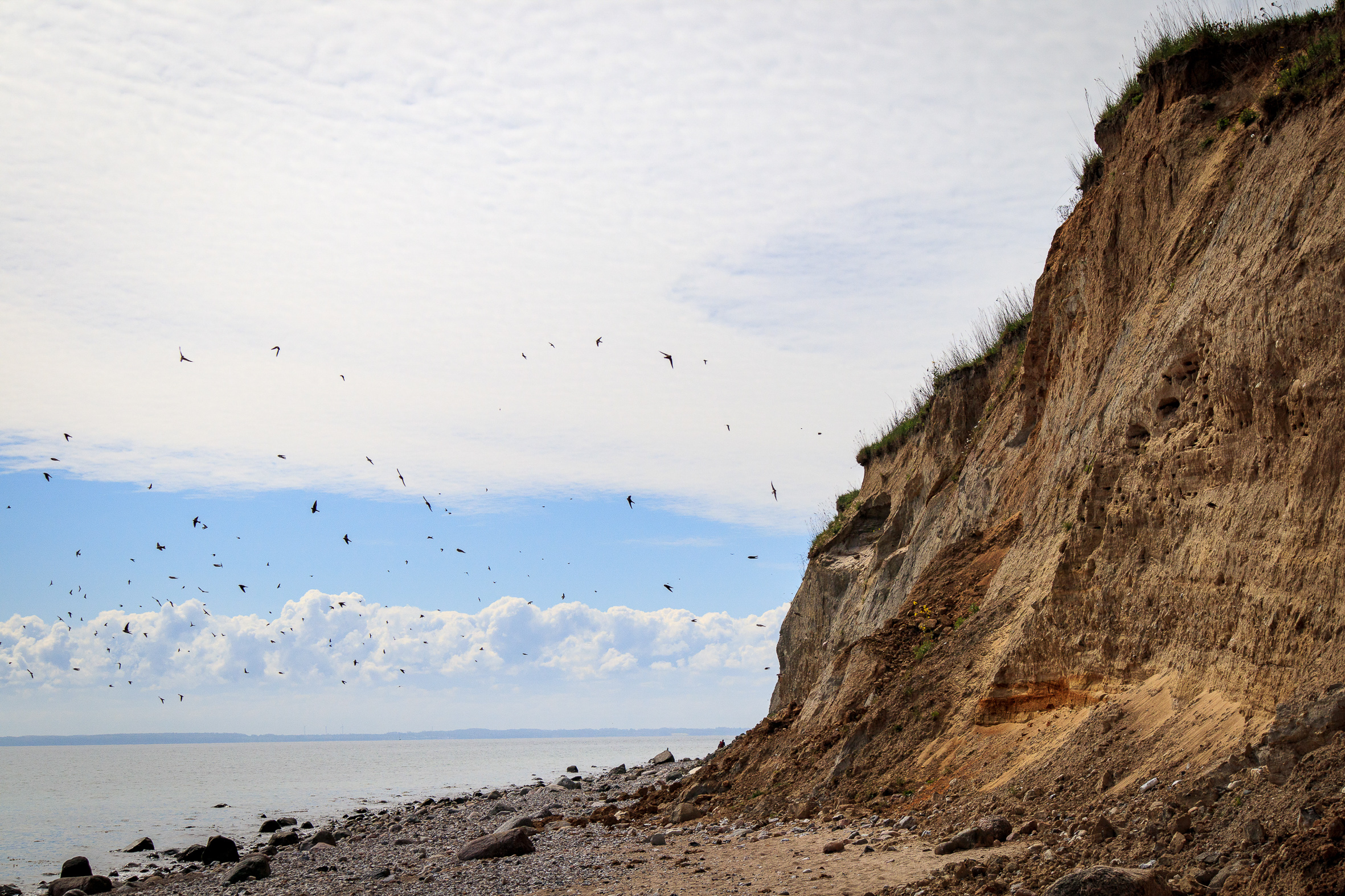 IMG_0978?timestamp=1680259217935