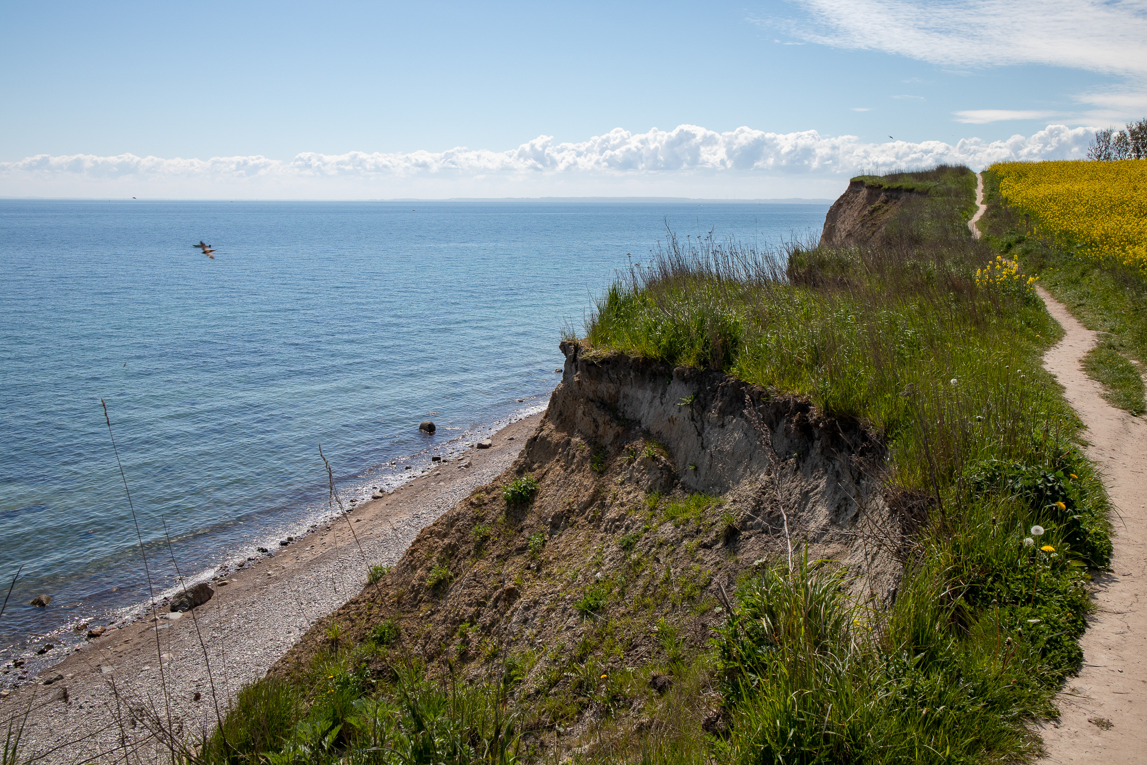 IMG_1005?timestamp=1680259217937