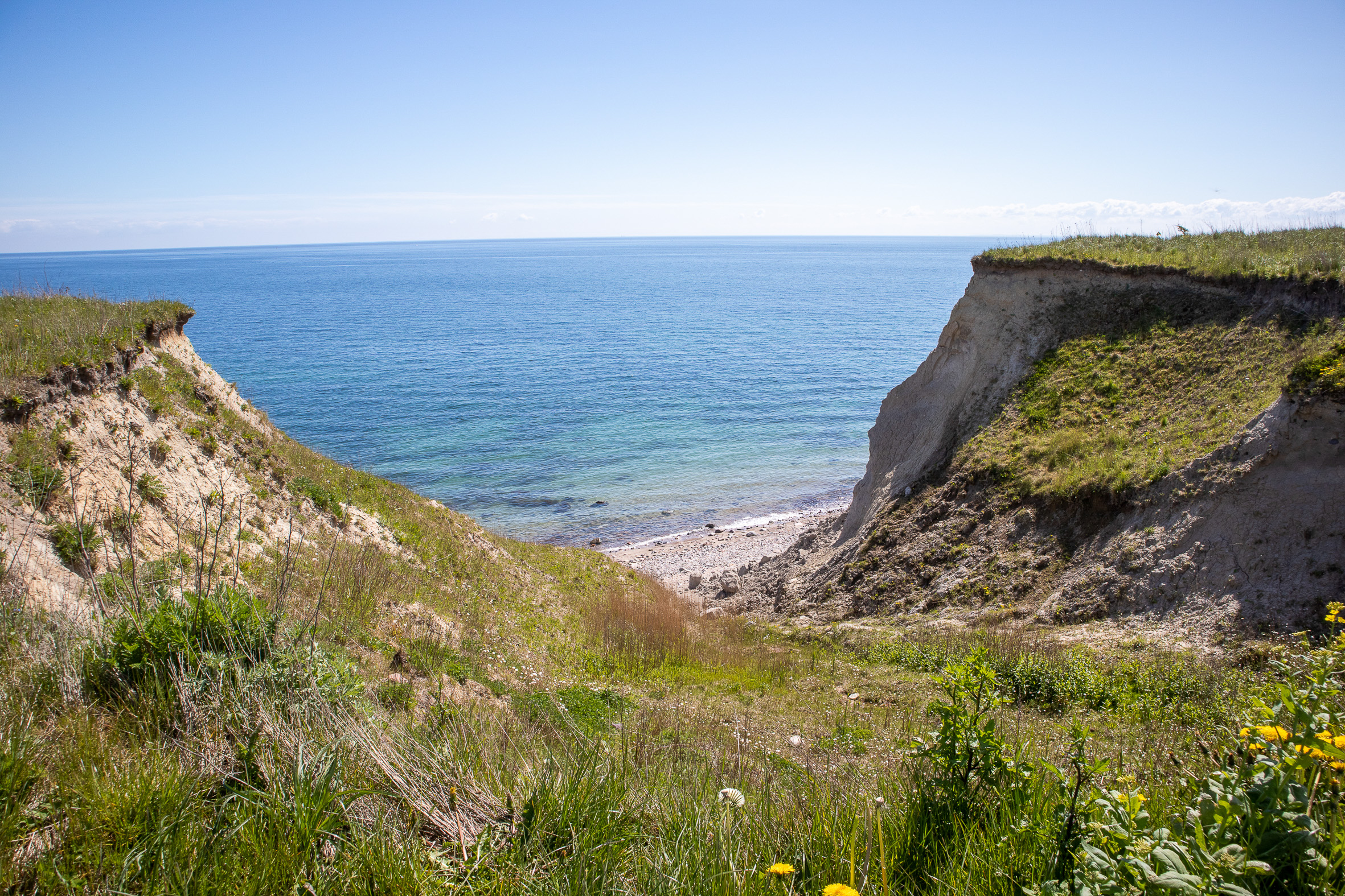 IMG_1010?timestamp=1680259217939