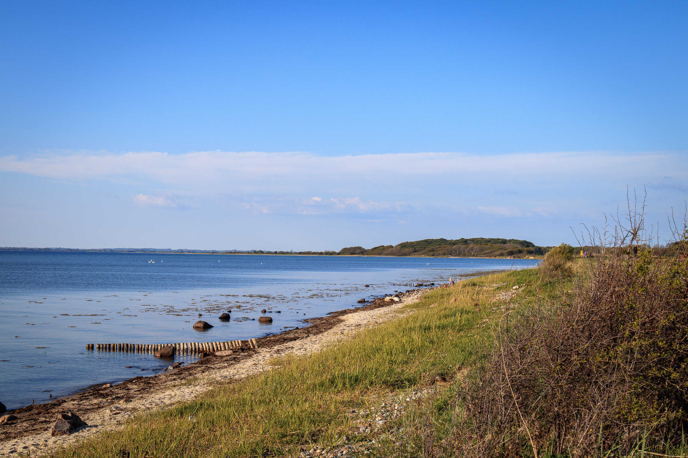 IMG_1053?timestamp=1680259217954